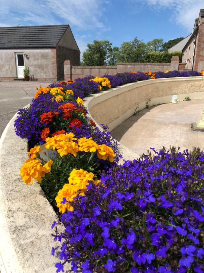 Oakfield B&B Lisburn Exteriér fotografie